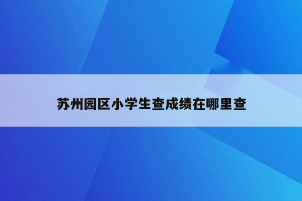 苏州园区小学生查成绩在哪里查