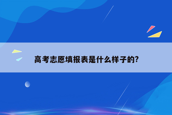 高考志愿填报表是什么样子的?