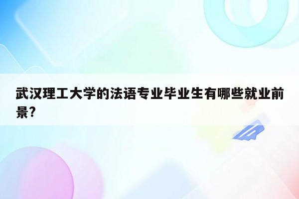 武汉理工大学的法语专业毕业生有哪些就业前景?