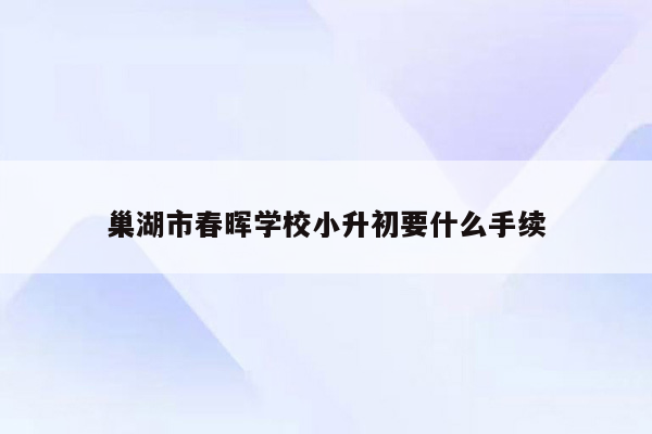 巢湖市春晖学校小升初要什么手续