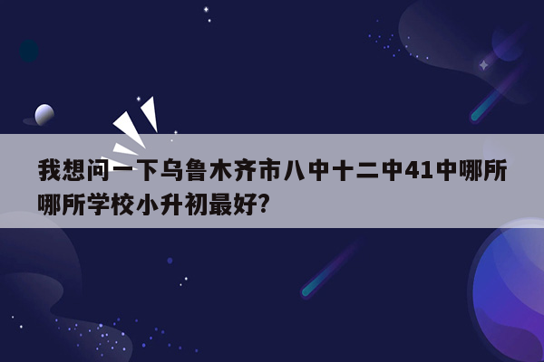 我想问一下乌鲁木齐市八中十二中41中哪所哪所学校小升初最好?