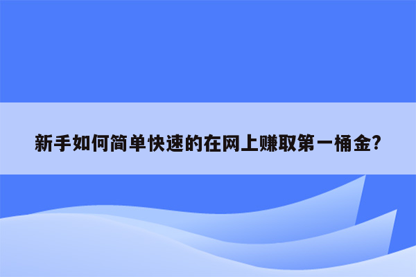 新手如何简单快速的在网上赚取第一桶金?