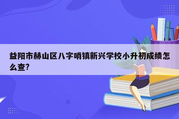 益阳市赫山区八字哨镇新兴学校小升初成绩怎么查?