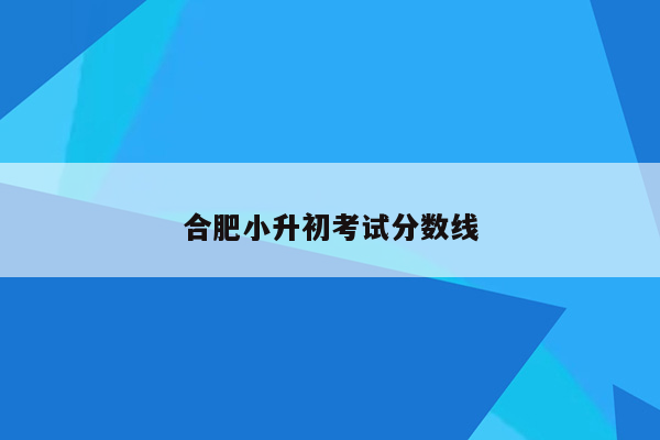 合肥小升初考试分数线