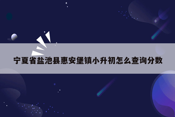 宁夏省盐池县惠安堡镇小升初怎么查询分数