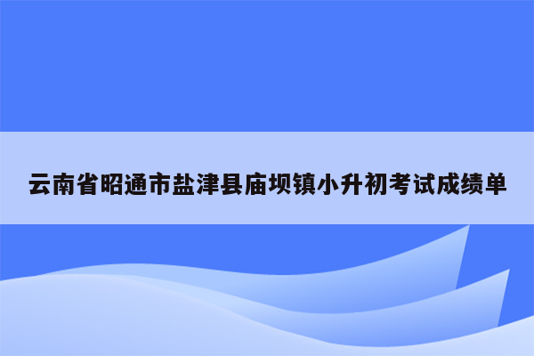 云南省昭通市盐津县庙坝镇小升初考试成绩单