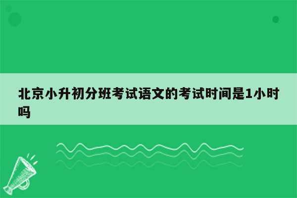 北京小升初分班考试语文的考试时间是1小时吗