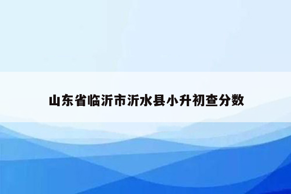 山东省临沂市沂水县小升初查分数