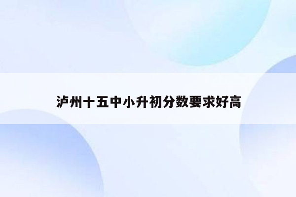 泸州十五中小升初分数要求好高