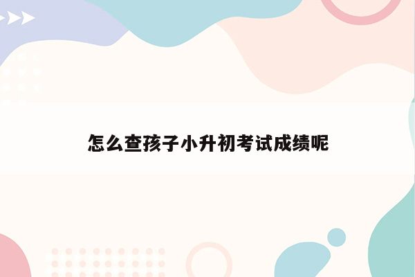 怎么查孩子小升初考试成绩呢