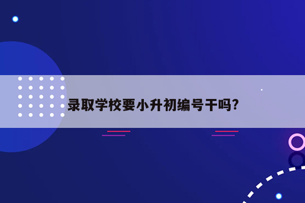 录取学校要小升初编号干吗?