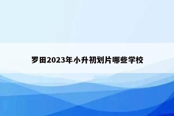 罗田2023年小升初划片哪些学校