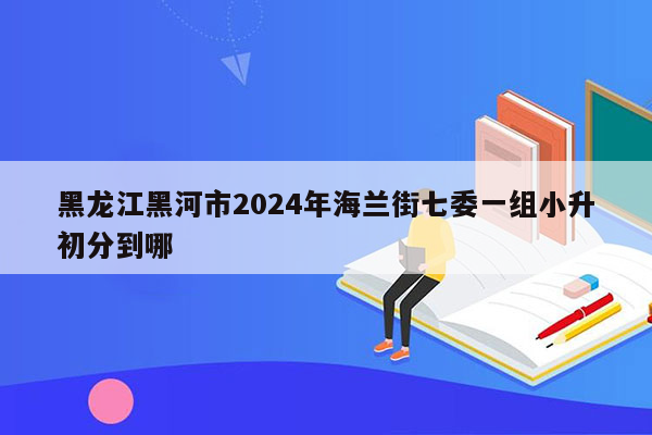 黑龙江黑河市2024年海兰街七委一组小升初分到哪