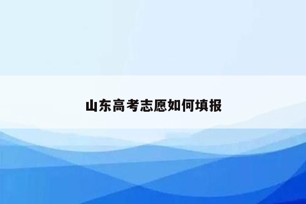 山东高考志愿如何填报