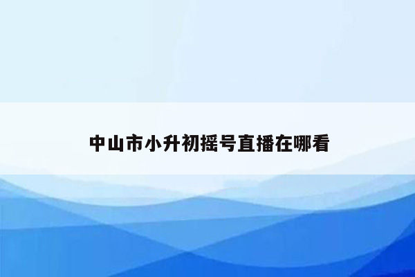 中山市小升初摇号直播在哪看