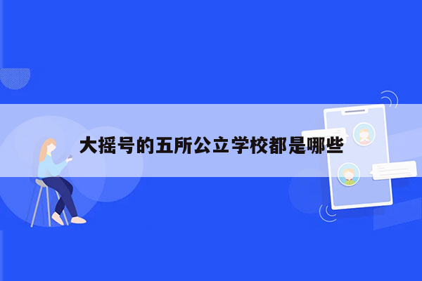 大摇号的五所公立学校都是哪些