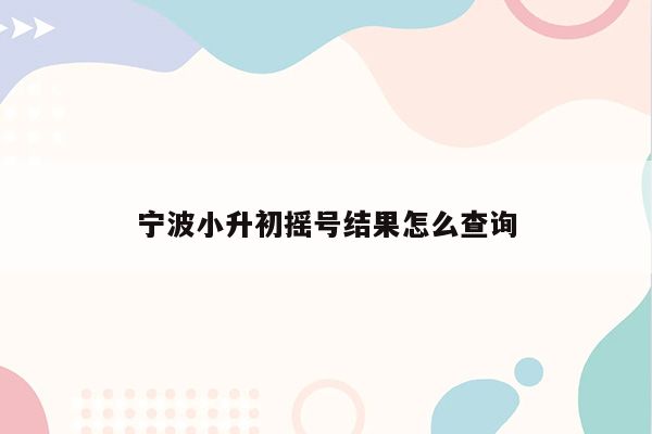 宁波小升初摇号结果怎么查询