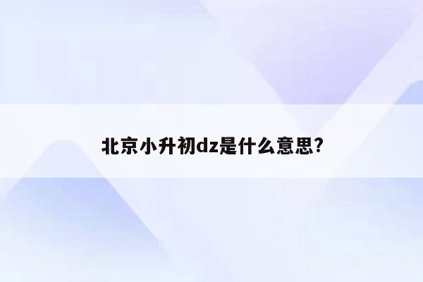 北京小升初dz是什么意思?