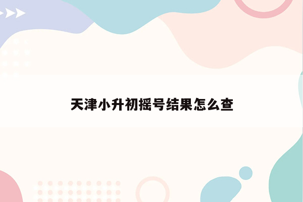 天津小升初摇号结果怎么查