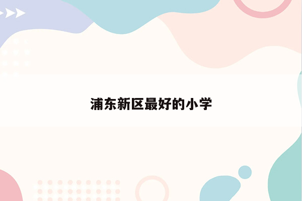 浦东新区最好的小学