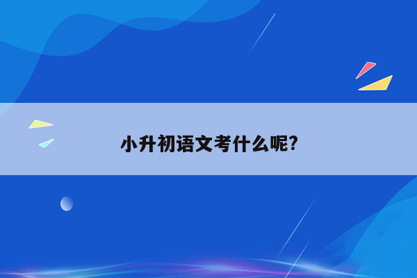 小升初语文考什么呢?