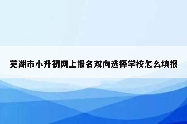 芜湖市小升初网上报名双向选择学校怎么填报