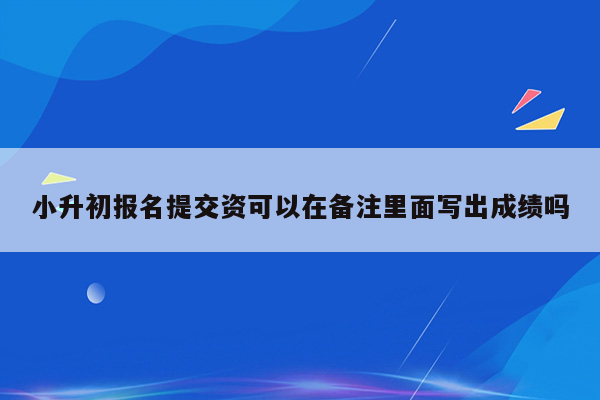 小升初报名提交资可以在备注里面写出成绩吗