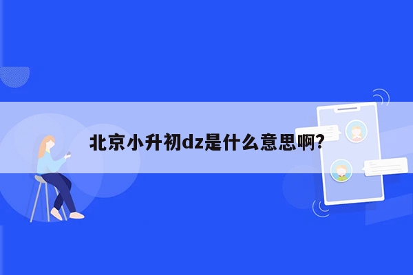 北京小升初dz是什么意思啊?