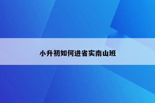 小升初如何进省实南山班