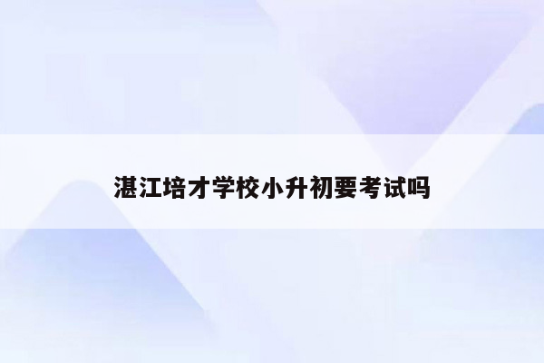 湛江培才学校小升初要考试吗