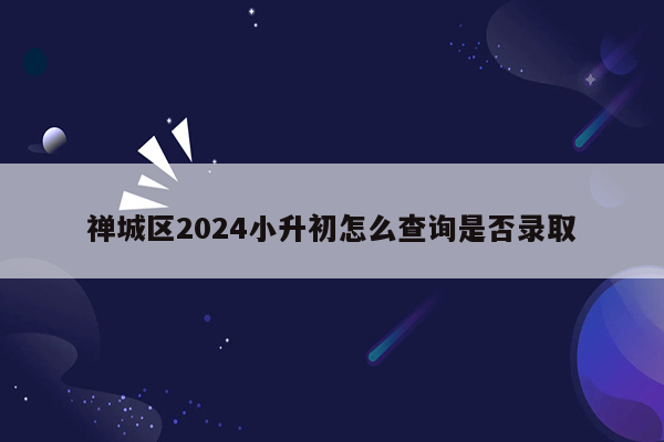 禅城区2024小升初怎么查询是否录取