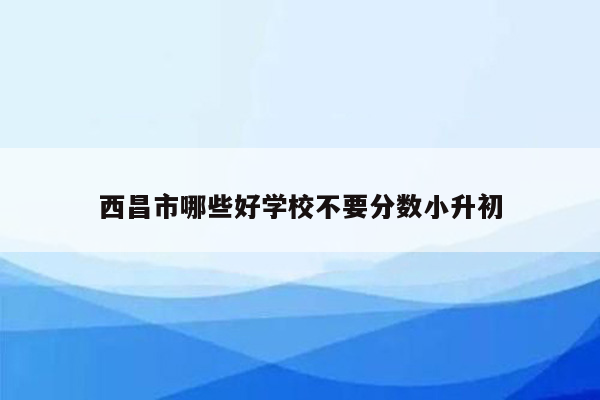 西昌市哪些好学校不要分数小升初