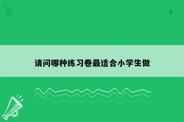 请问哪种练习卷最适合小学生做