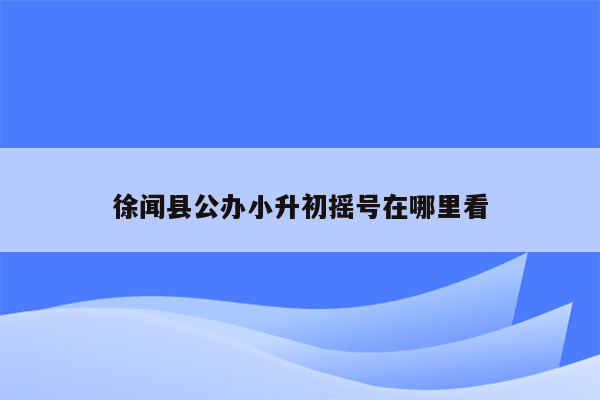 徐闻县公办小升初摇号在哪里看