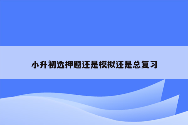 小升初选押题还是模拟还是总复习