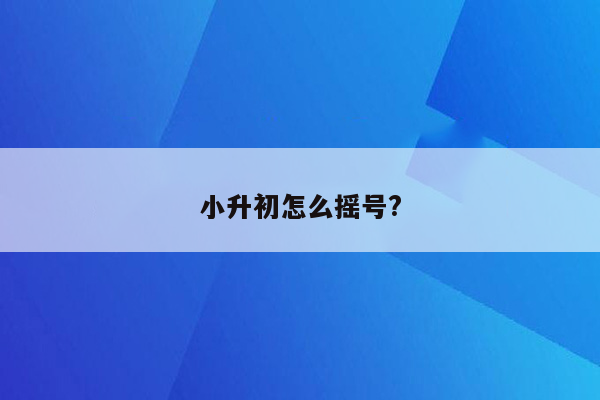 小升初怎么摇号?