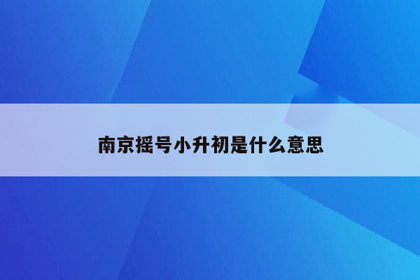 南京摇号小升初是什么意思