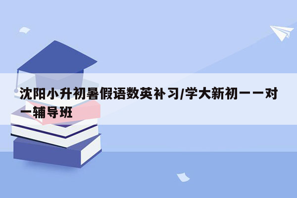 沈阳小升初暑假语数英补习/学大新初一一对一辅导班