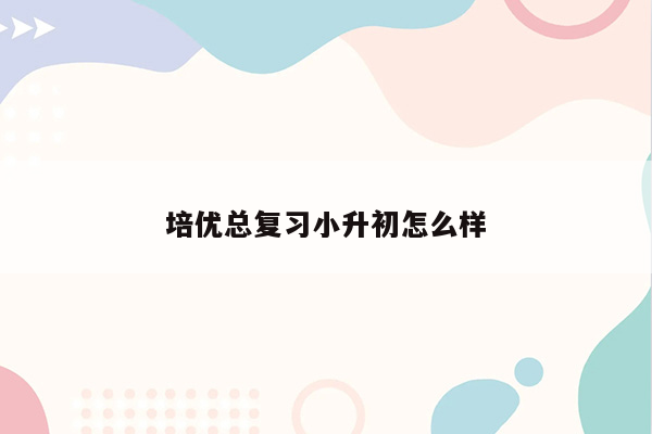 培优总复习小升初怎么样