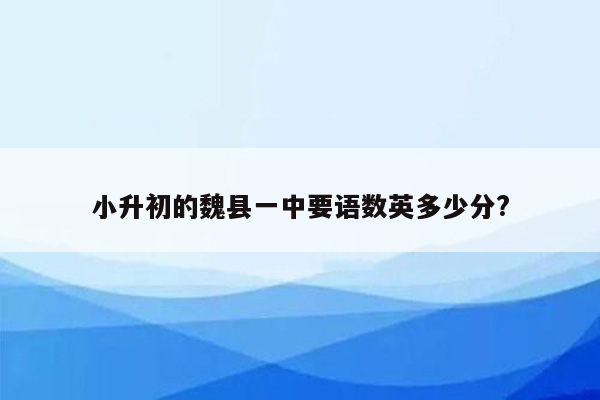 小升初的魏县一中要语数英多少分?