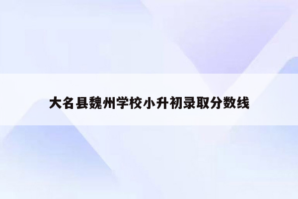 大名县魏州学校小升初录取分数线