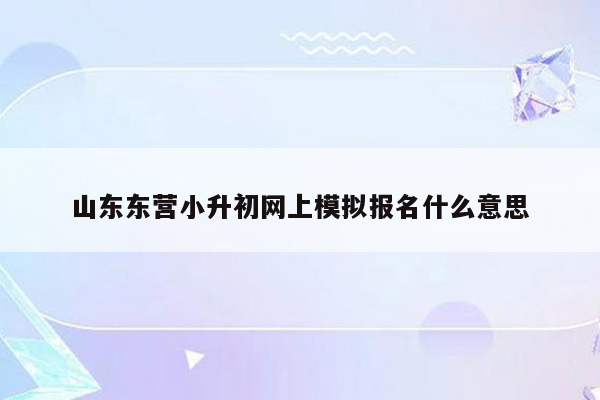 山东东营小升初网上模拟报名什么意思