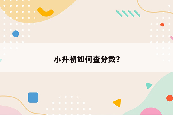 小升初如何查分数?