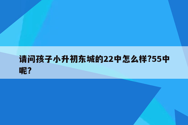 请问孩子小升初东城的22中怎么样?55中呢?