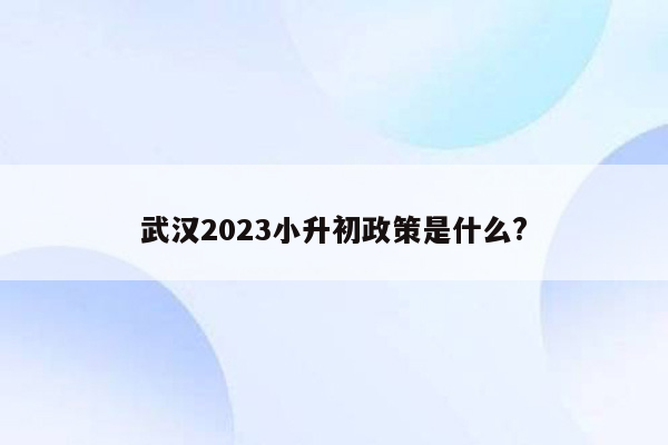 武汉2023小升初政策是什么?