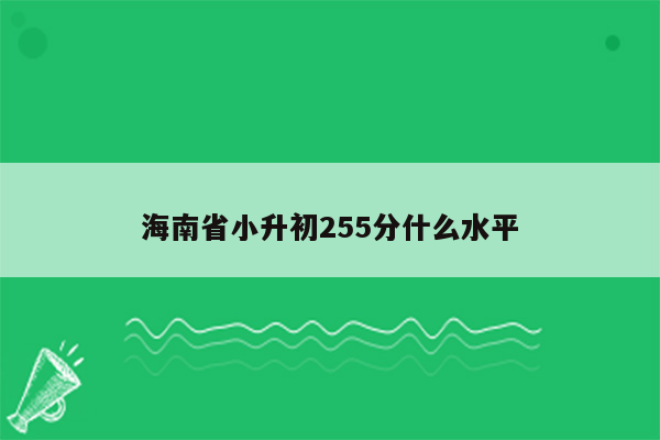 海南省小升初255分什么水平