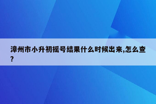 漳州市小升初摇号结果什么时候出来,怎么查?