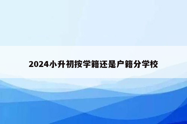 2024小升初按学籍还是户籍分学校