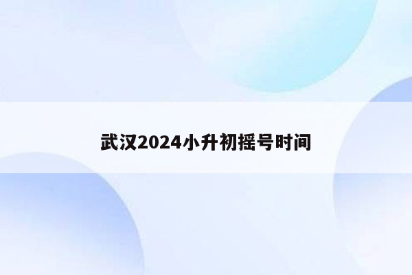 武汉2024小升初摇号时间