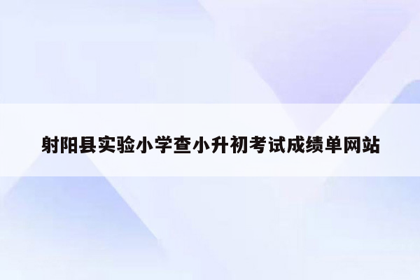 射阳县实验小学查小升初考试成绩单网站